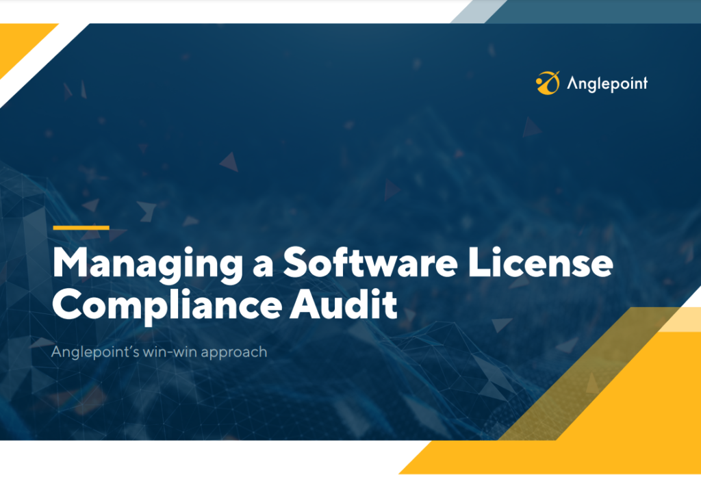 Anglepoint Managing a Software License Compliance Audit pdf preview