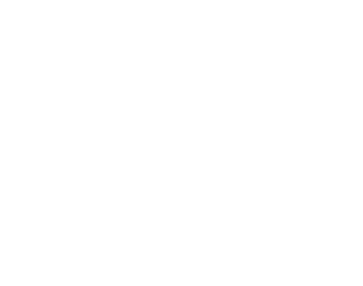 CDX Data Technology logo