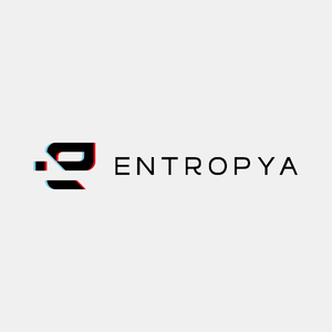 Entropya logo